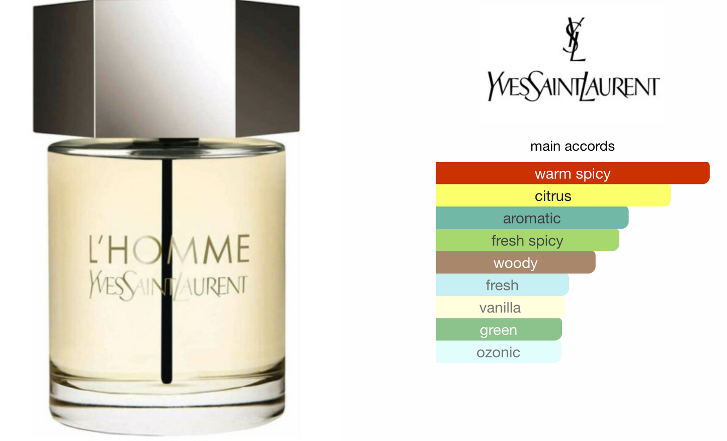 Yves Saint Laurent L' Homme